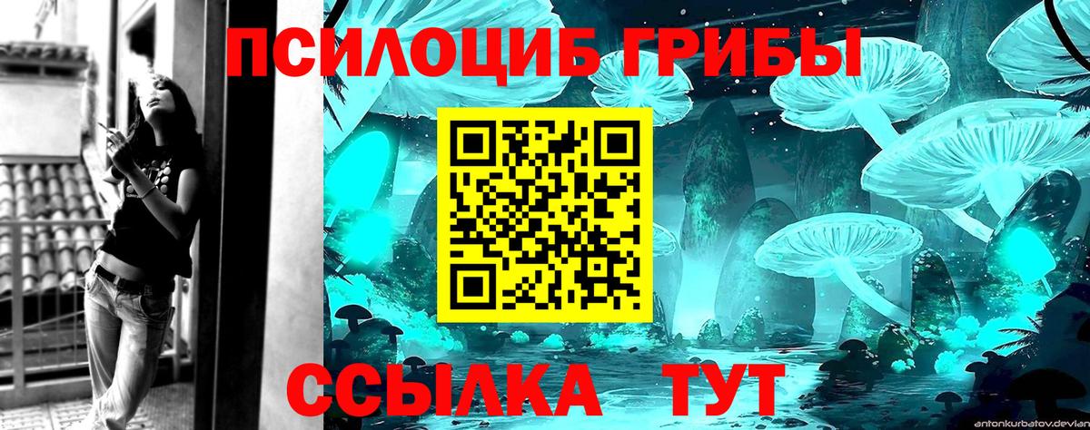 Псилоцибиновые грибы GOLDEN TEACHER Барабинск